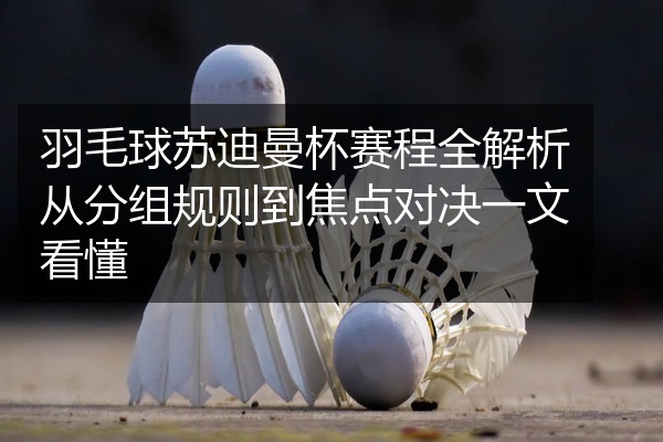 羽毛球苏迪曼杯赛程全解析从分组规则到焦点对决一文看懂