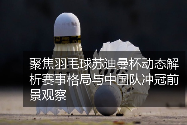 聚焦羽毛球苏迪曼杯动态解析赛事格局与中国队冲冠前景观察