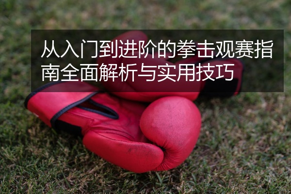 从入门到进阶的拳击观赛指南全面解析与实用技巧
