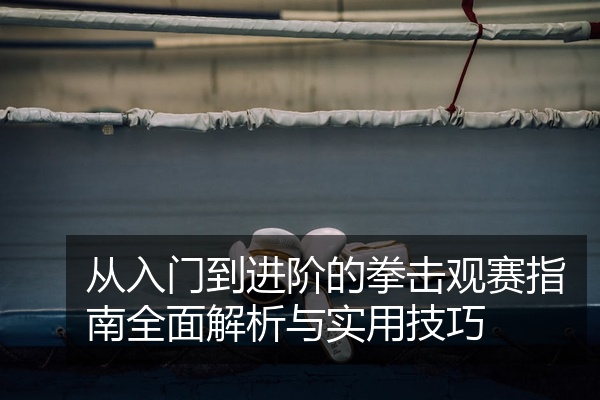 从入门到进阶的拳击观赛指南全面解析与实用技巧